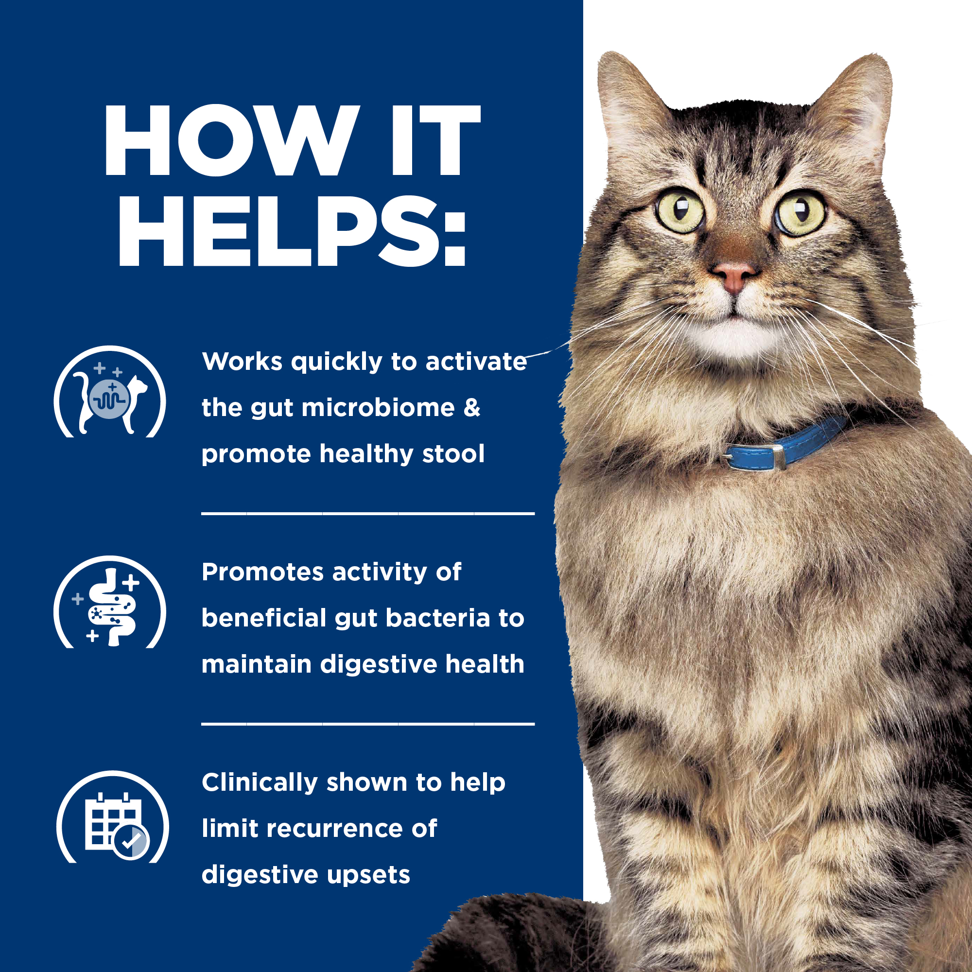 Hill's® Prescription Diet® Digestive Fiber Care Gastrointestinal Biome Feline