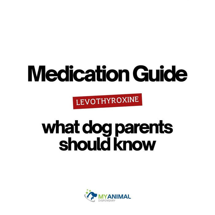 What is Levothyroxine?