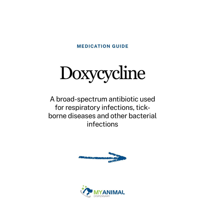 What is Doxycycline?