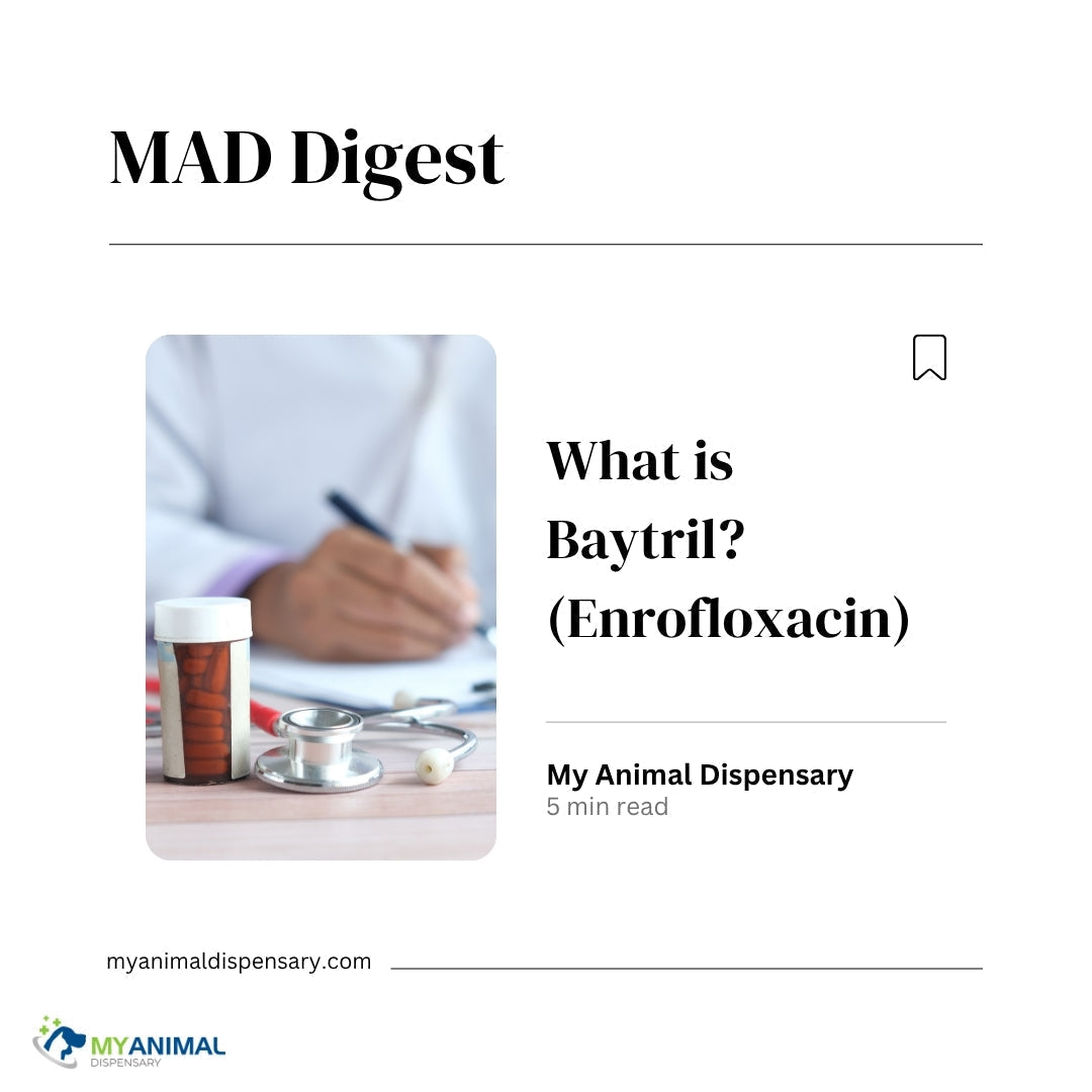 What is Baytril (Enrofloxacin) ?