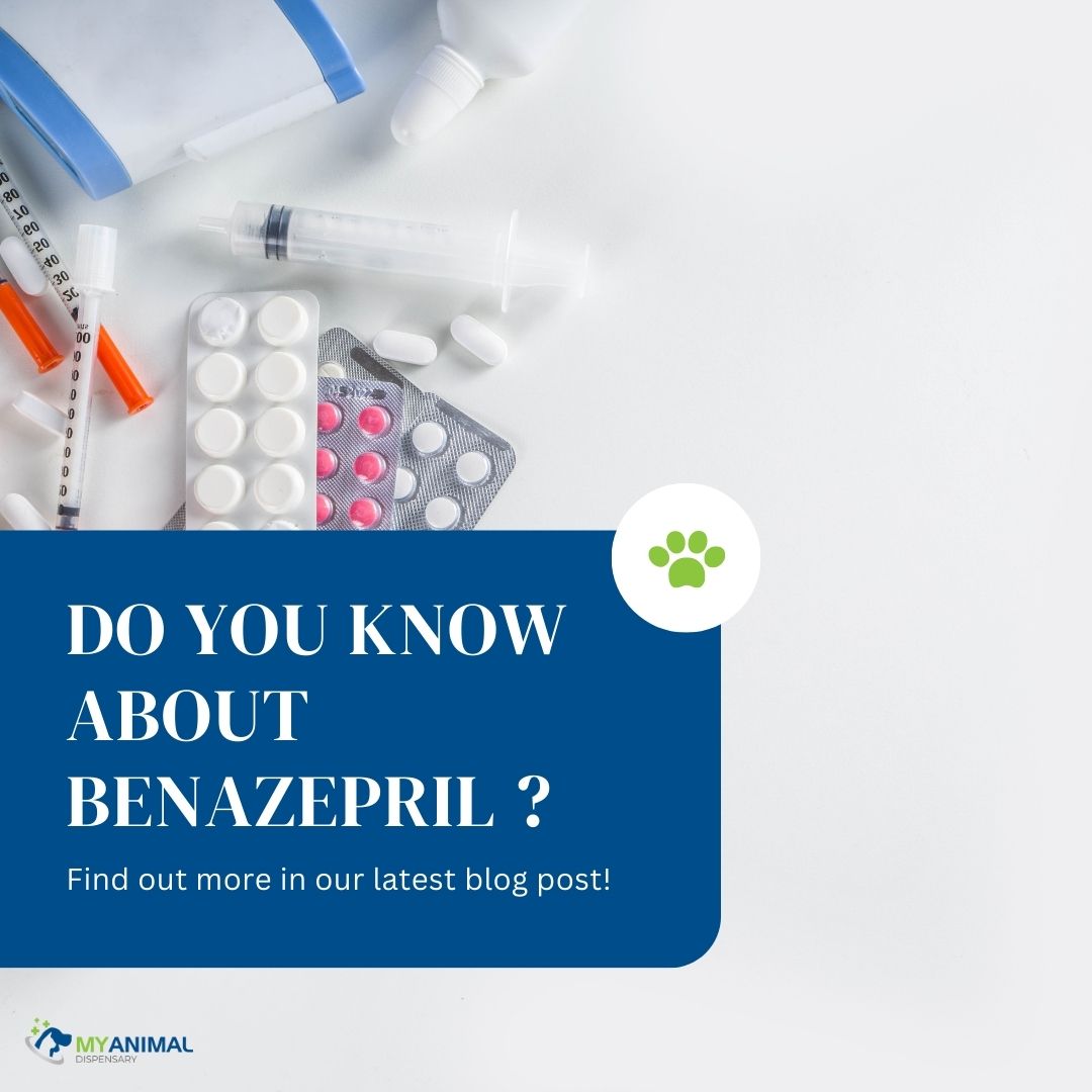 What You Need to Know About Benazepril (Fortekor, VetACE)