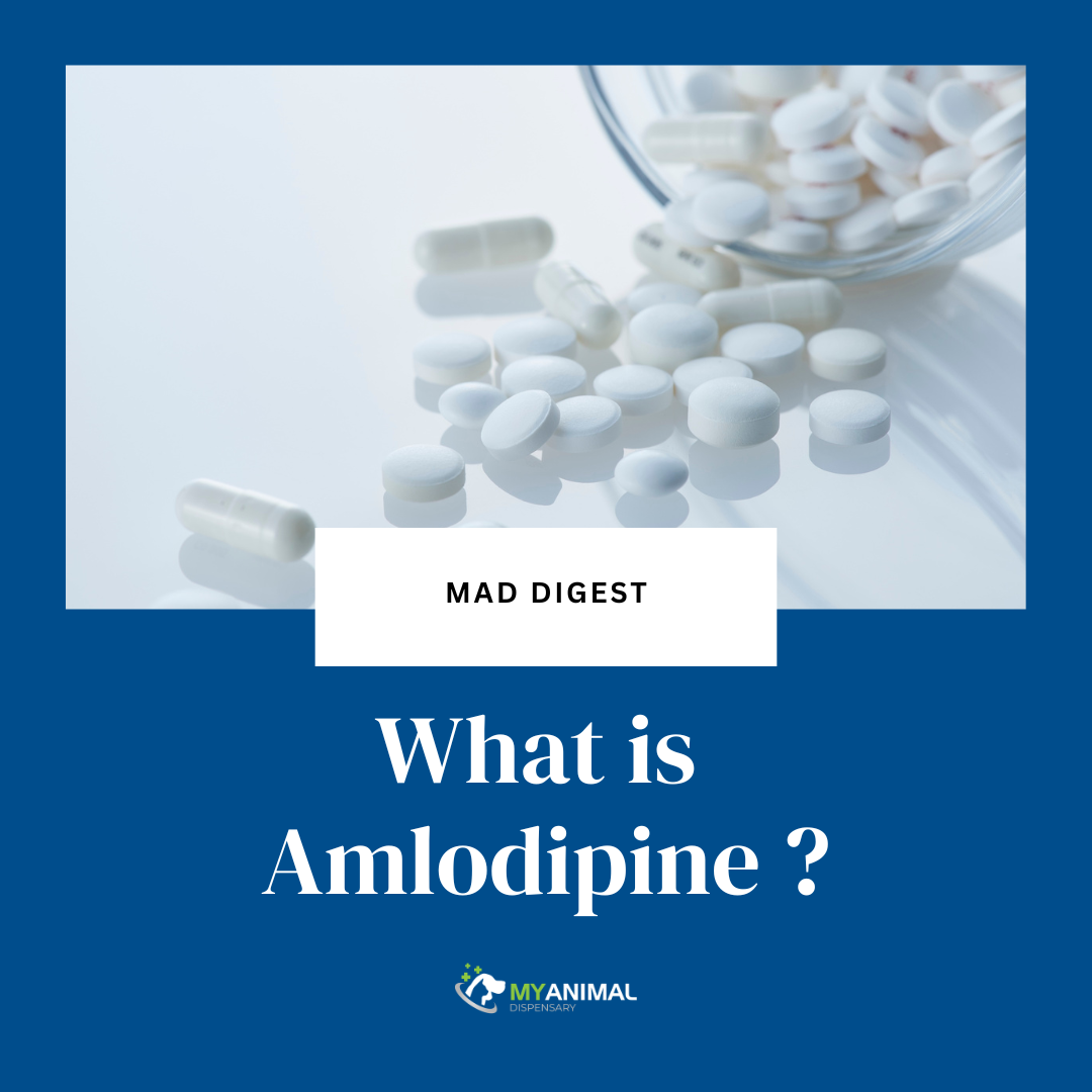 What is Amlodipine?