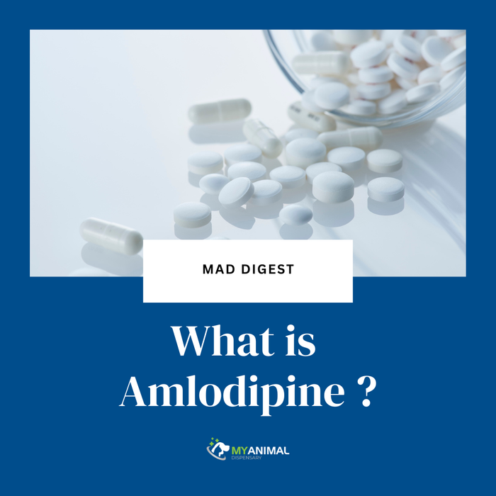 What is Amlodipine?