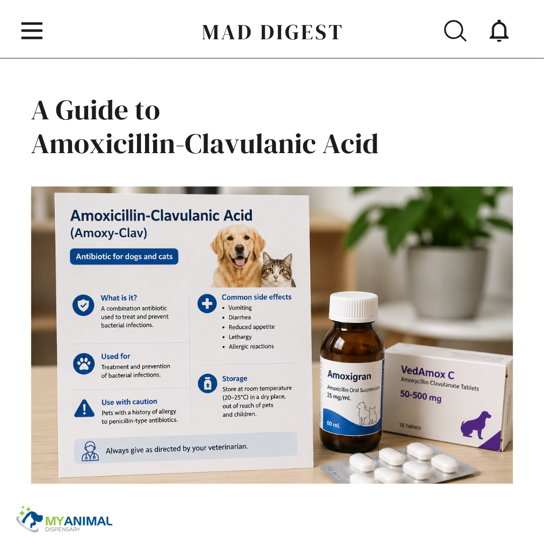 What is Amoxicillin-Clavulanic Acid (Amoxy‑Clav)?