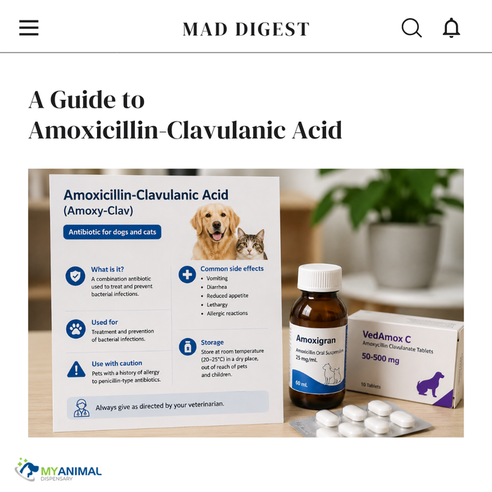 What is Amoxicillin-Clavulanic Acid (Amoxy‑Clav)?