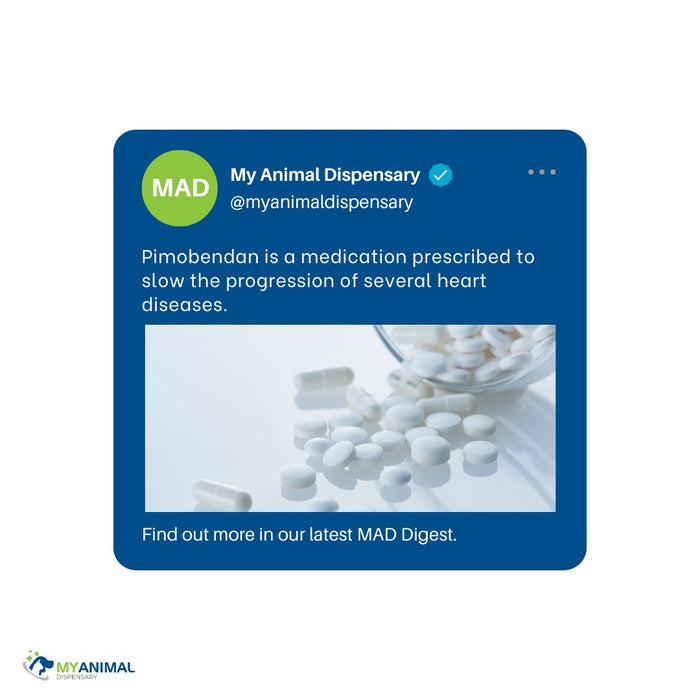 What You Need to Know About Pimobendan (Vetmedin, Cardisure)