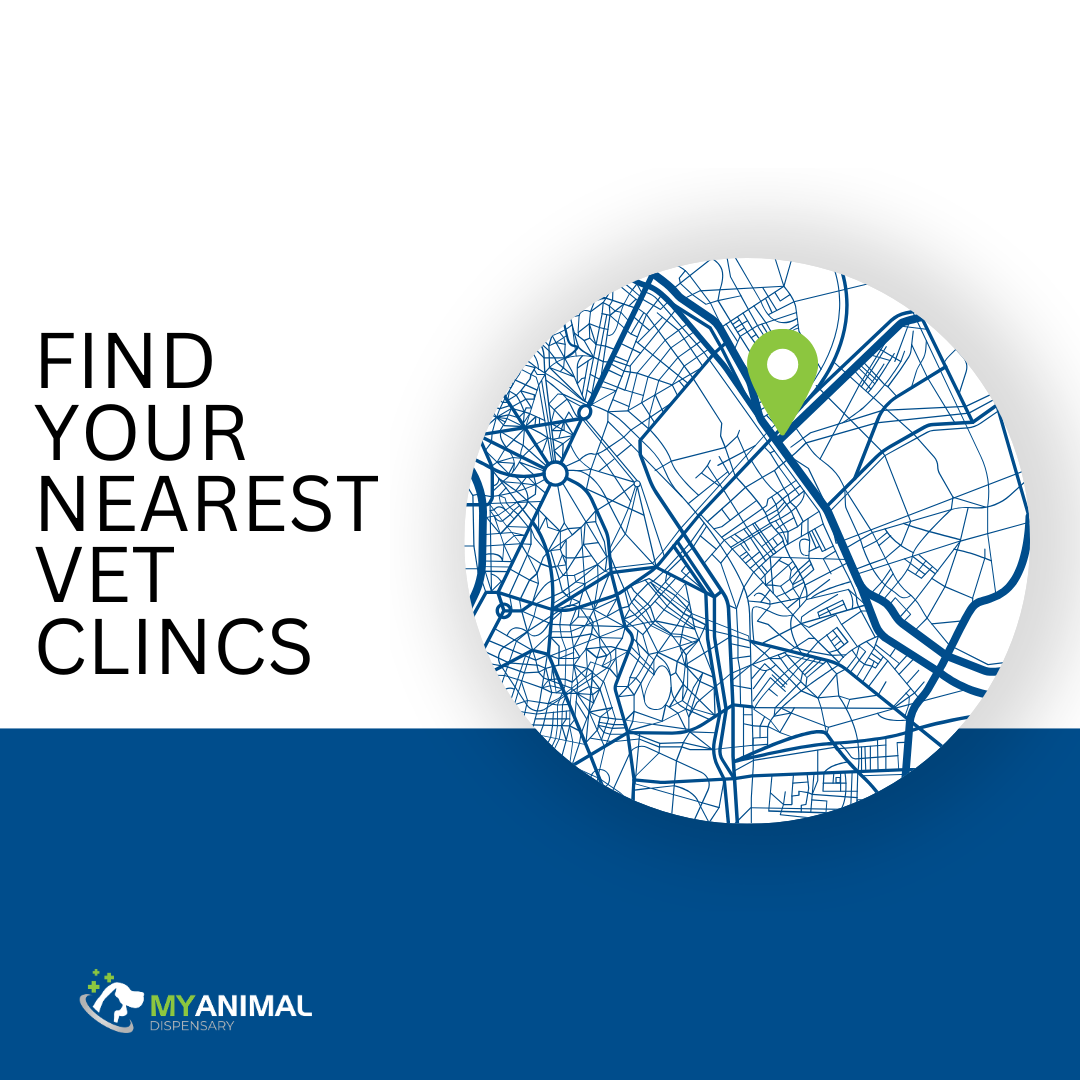 Guide to Vet Clinics in Singapore