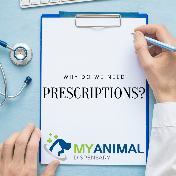What is a Prescription?
