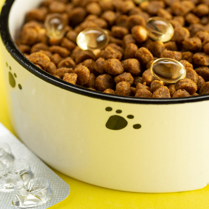 MAD Pet Health Week - Animal Nutrition & Diets