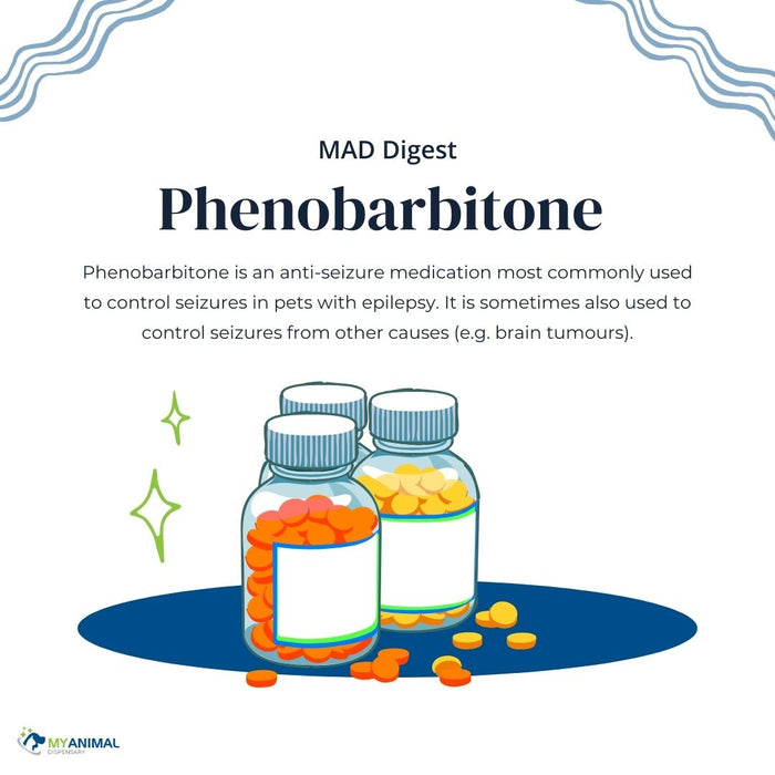 What You Need to Know About Phenobarbitone