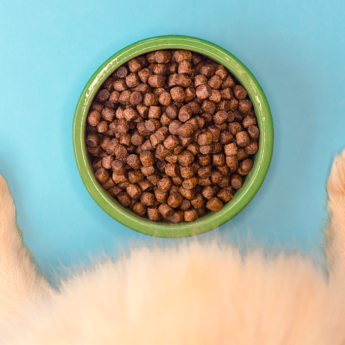 Can I Feed My Pet What I Eat??