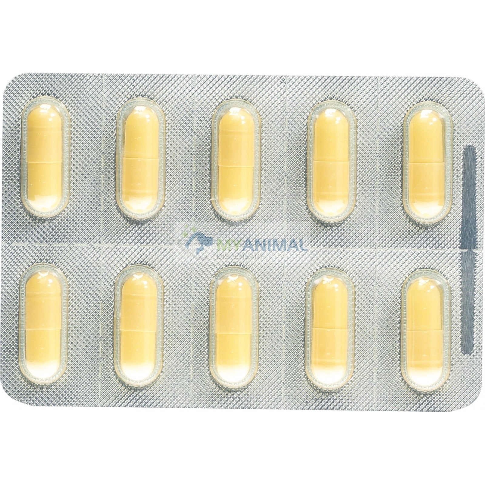 Sandoz Gabapentin Anticonvulsant Pain Relief Treatment Capsule (300mg)