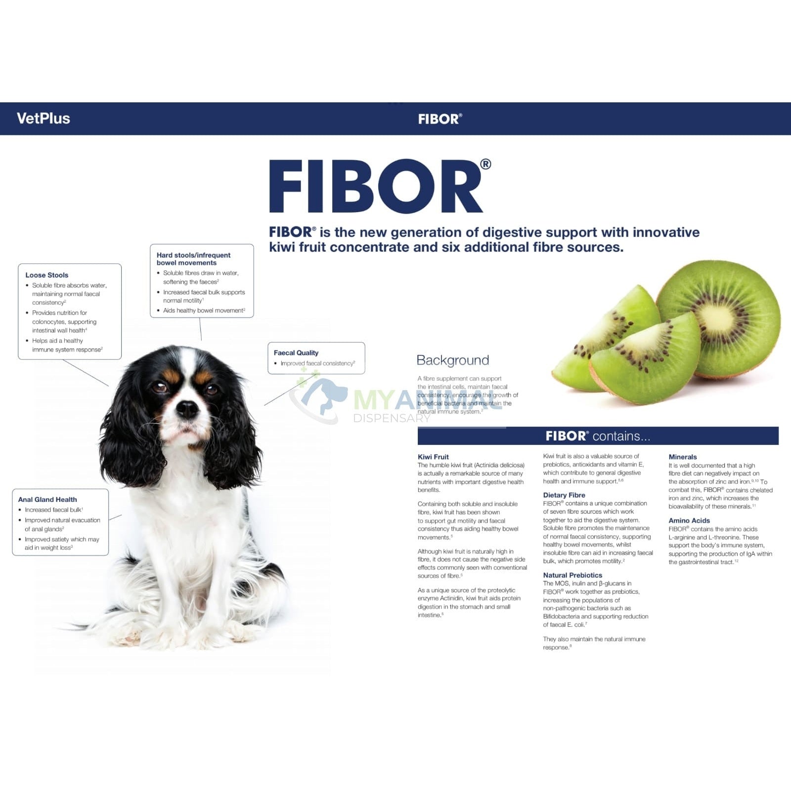 VetPlus Fibor® Digestive Support Complementary Feed 500g for Dogs and Cats