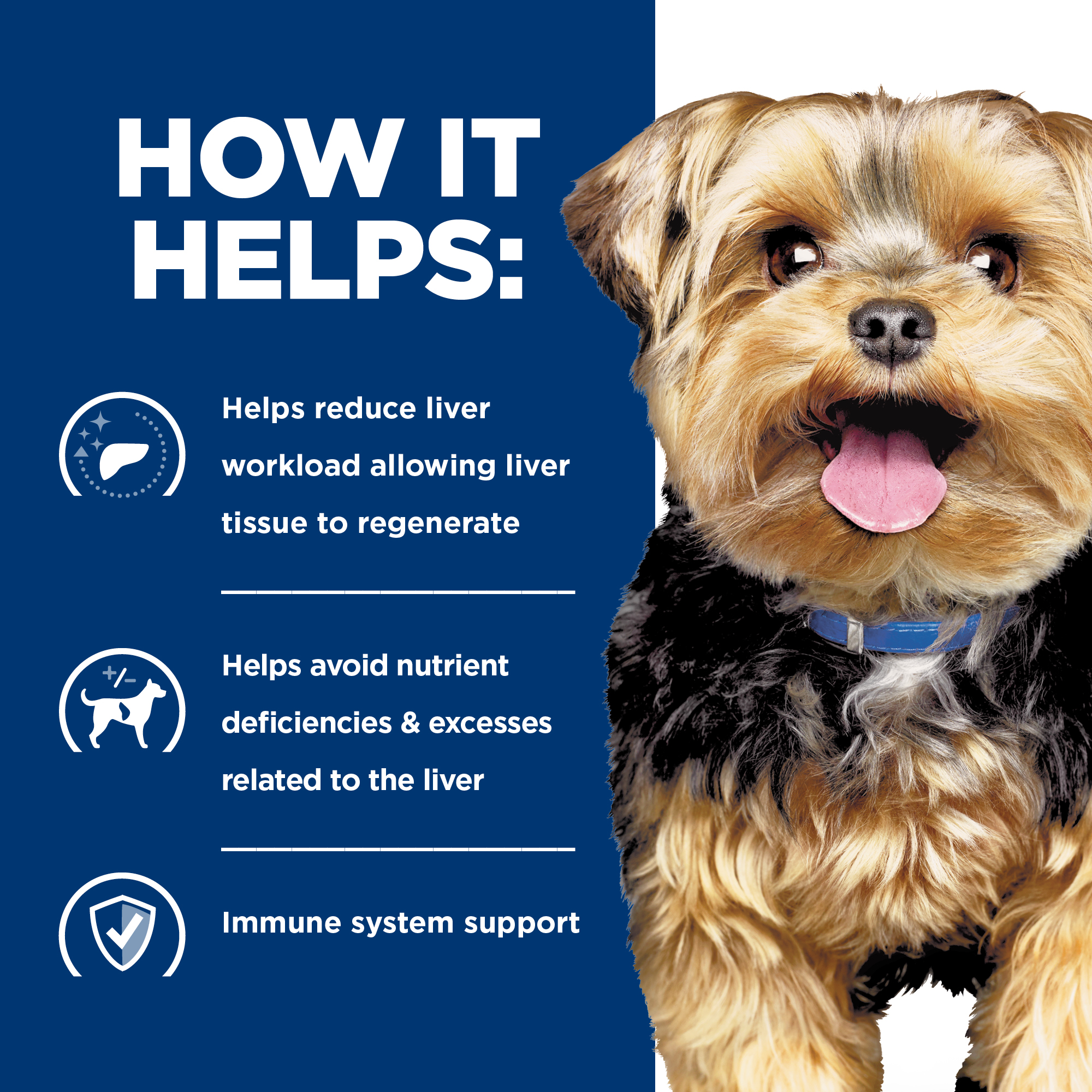 Hill's® Prescription Diet® l/d® Liver Care Canine