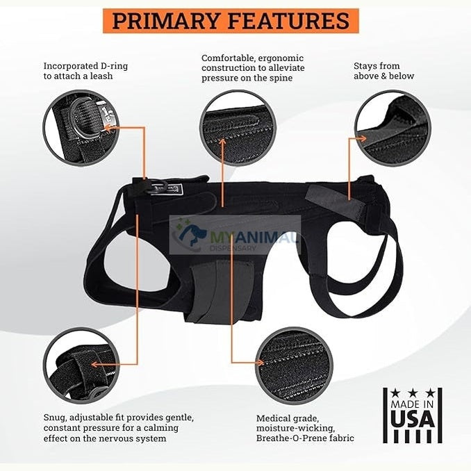 Lil Back Bracer™ Orthopedic Support Brace for Dogs