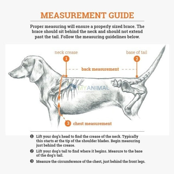 Lil Back Bracer™ Orthopedic Support Brace for Dogs