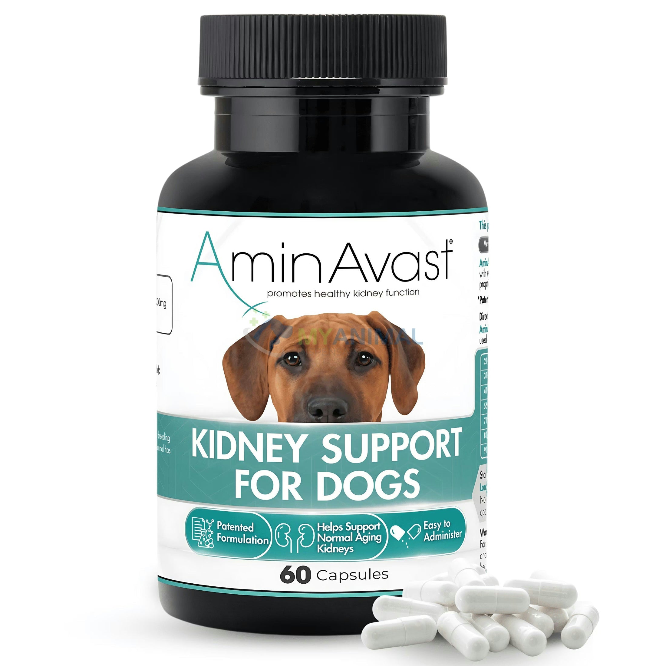 AminAvast® Kidney Health Supplement for Dogs >9kg (60 Capsules)