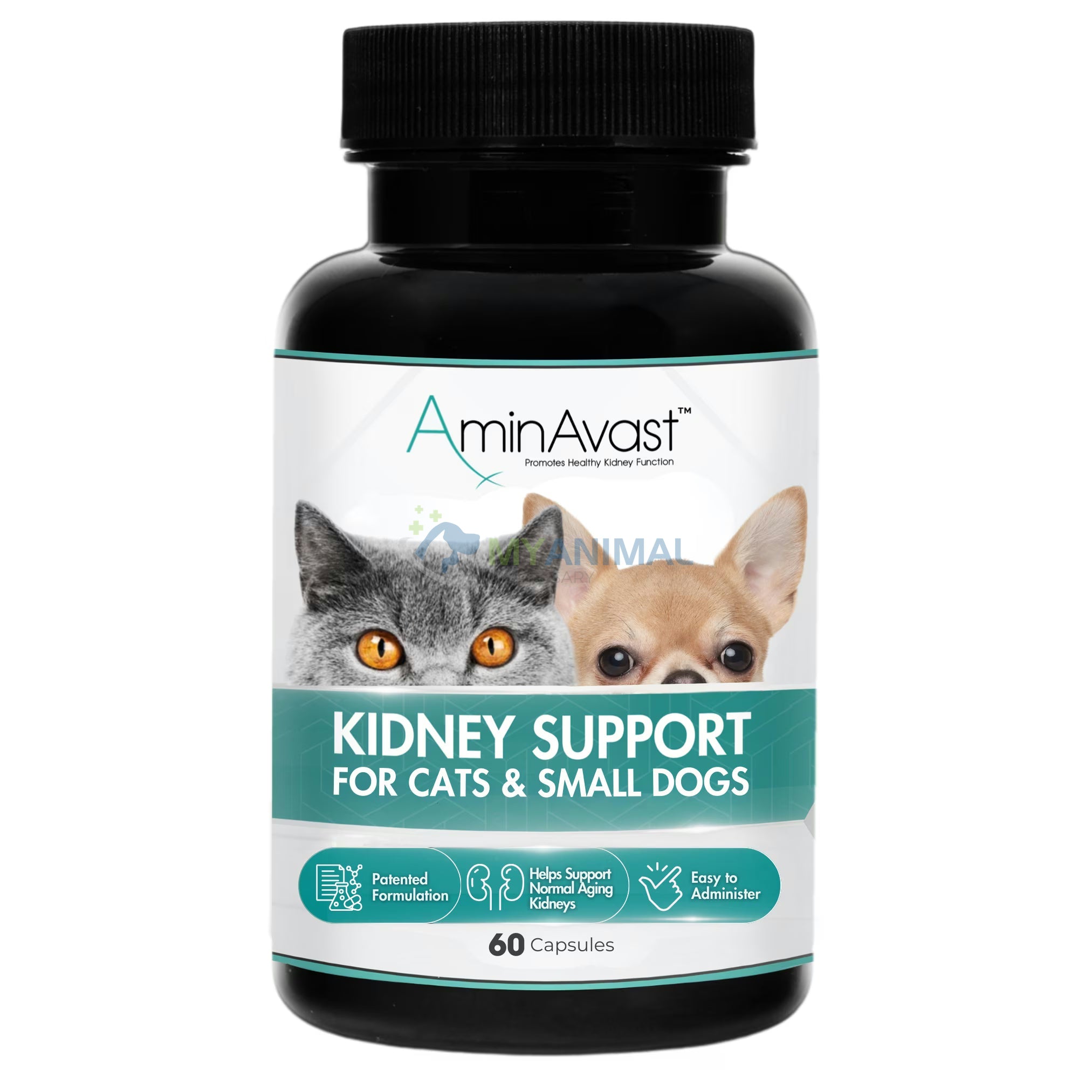 AminAvast® Kidney Health Supplement for Small Dogs and Cats (60 Capsules)