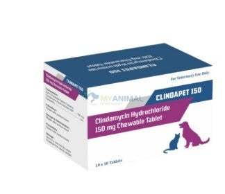 Clindamycin (Clindapet) 150mg Tablet