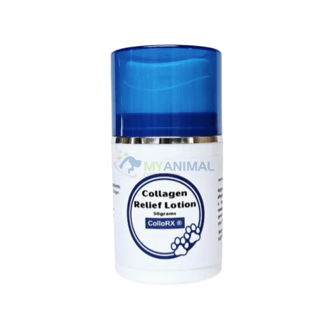 Jean Paul Nutraceuticals (JPN) Collorx Collagen Relief Lotion (50g)