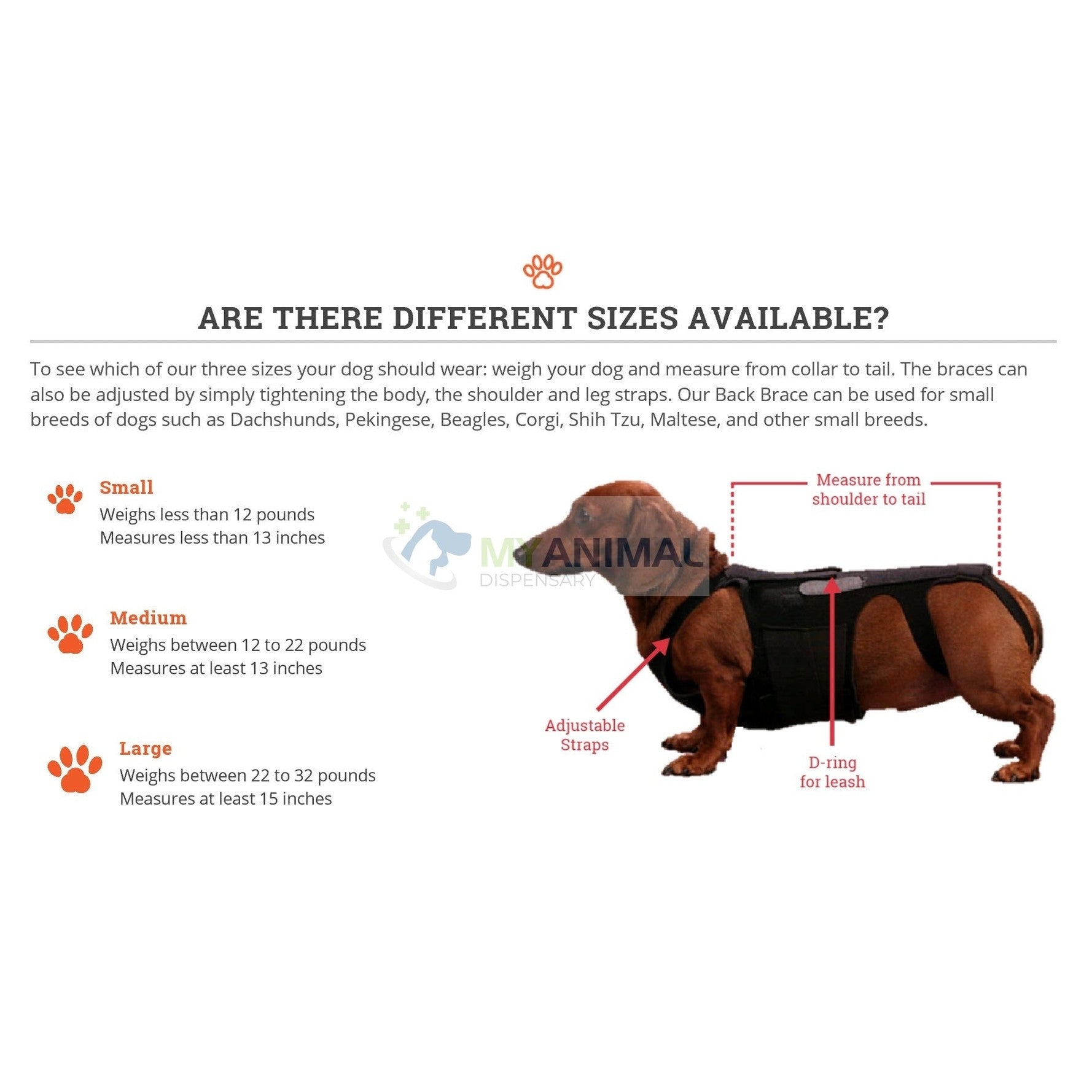 Lil Back Bracer™ Orthopedic Support Brace for Dogs