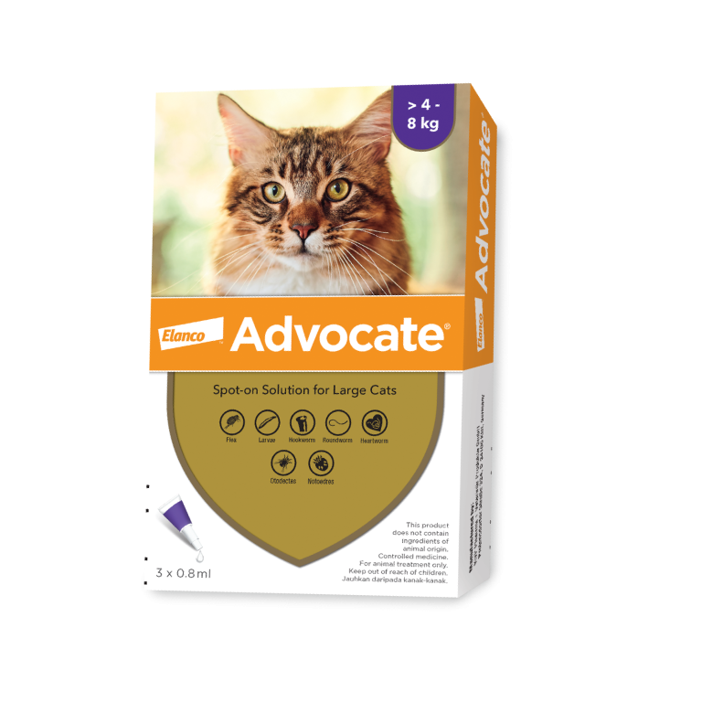 Advocate Fleas & Heartworm Treatment for Medium/Large Cats (>4kg)