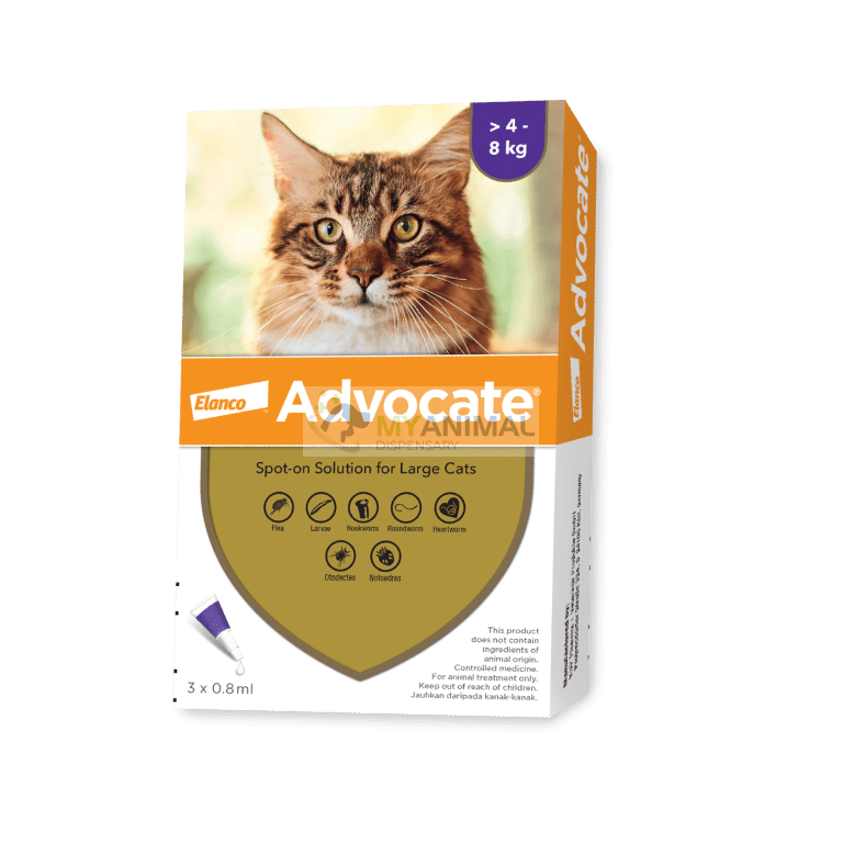 Advocate cat treatment 2025