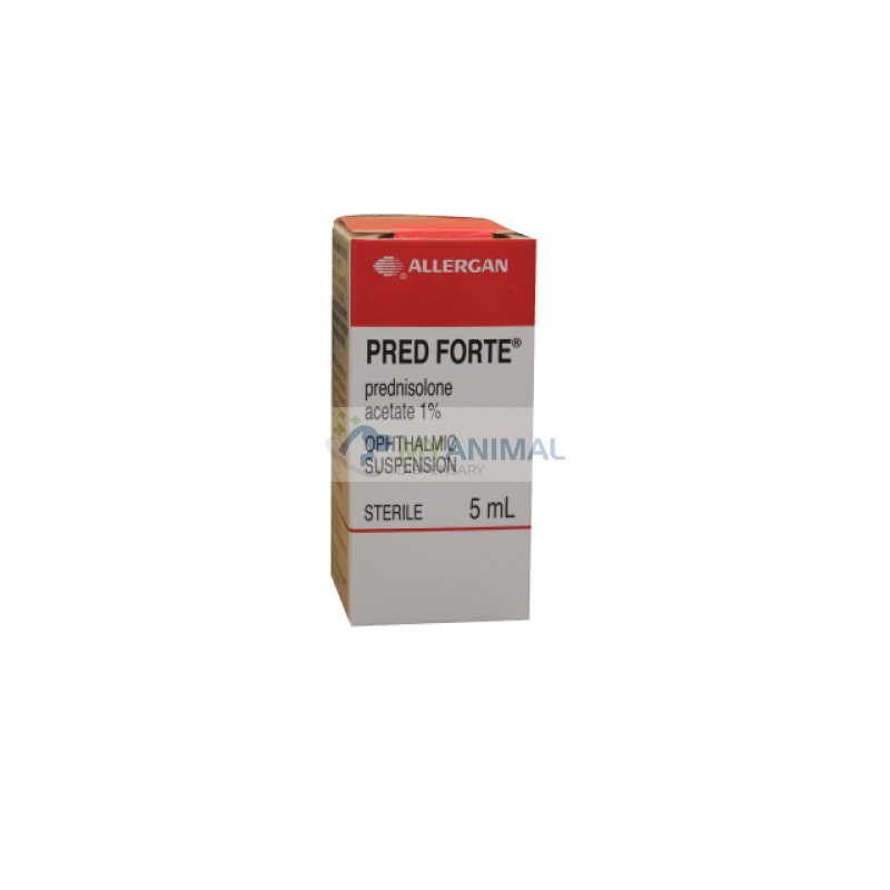 Predforte Prednisolone Acetate 1% Ophthalmic Suspension (5ml) — My ...