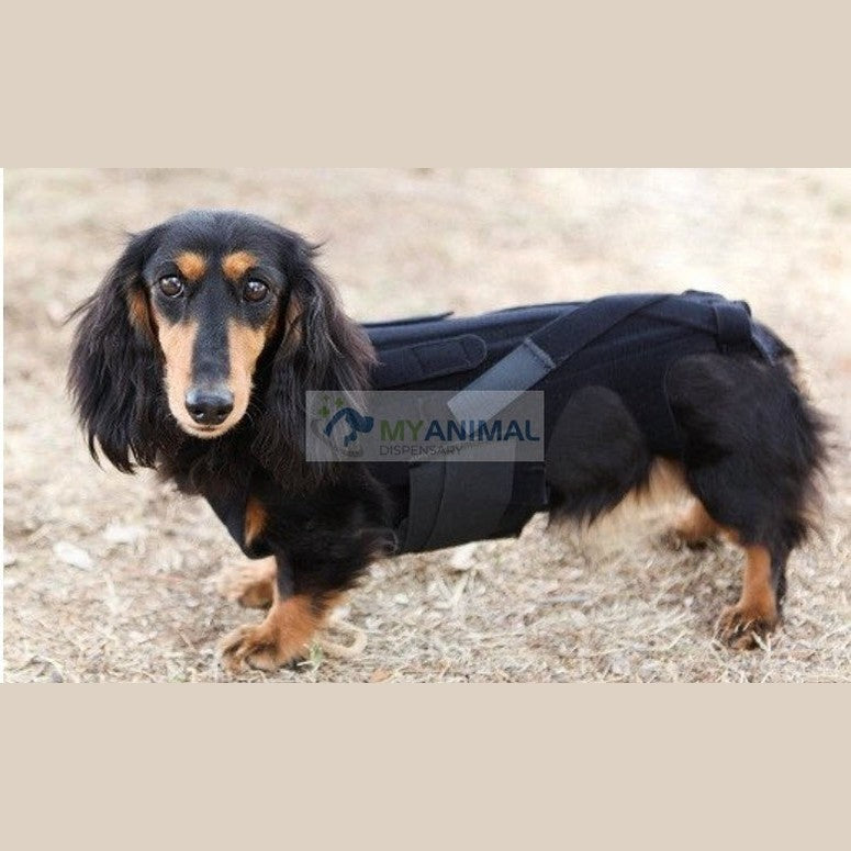 Lil Back Bracer™ Orthopedic Support Brace for Dogs