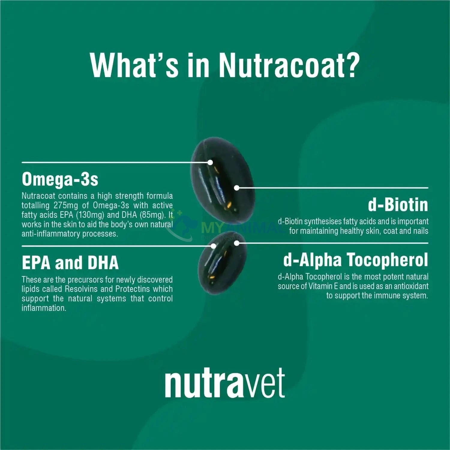 Nutravet Nutracoat Skin and Coat Supplement for Dogs, Cats & Small Animals