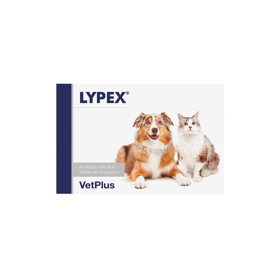 VetPlus LYPEX ® Pancreatic Supplement 60 Capsules for Dogs Cats