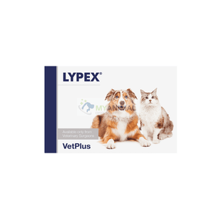 VetPlus LYPEX ® Pancreatic Supplement 60 Capsules for Dogs Cats — My ...
