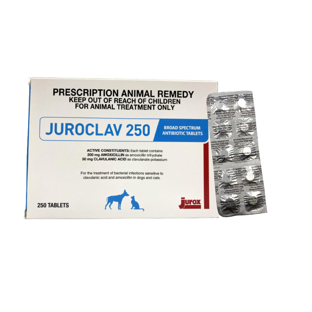 Juroclav Amoxycillin Clavulanate Broad Spectrum Antibiotic Tablets
