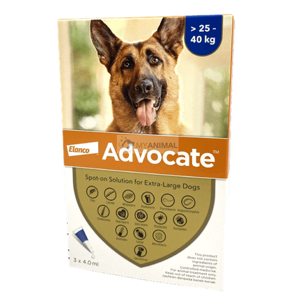 Heartworm meds shop for large dogs