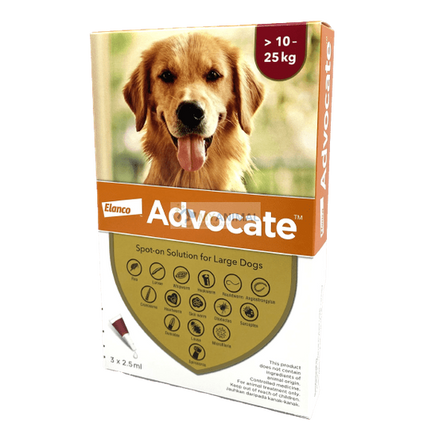 Flea Prevention Large Dog Flea Treatment Advocate Fleas Heartworm