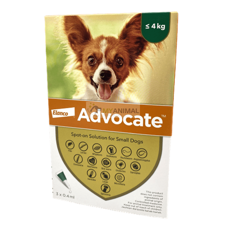 Heartworm treatment shop for small dogs