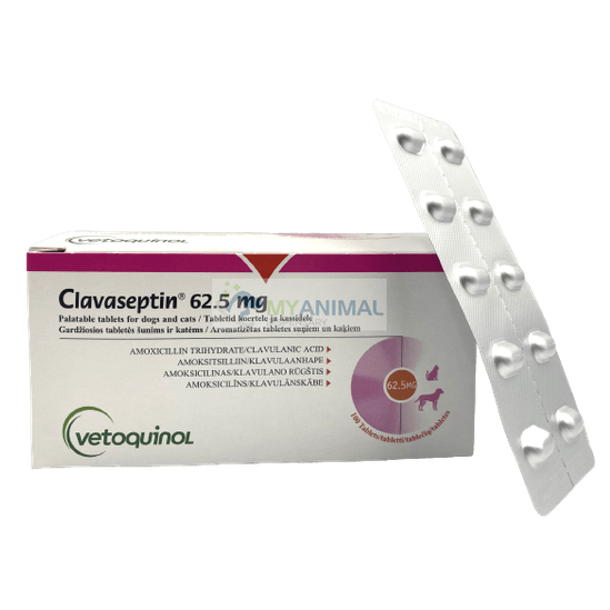 Clavaseptin 62.5mg Tablet