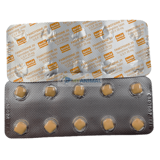 Famotidine 20mg Antihistamine Tablet