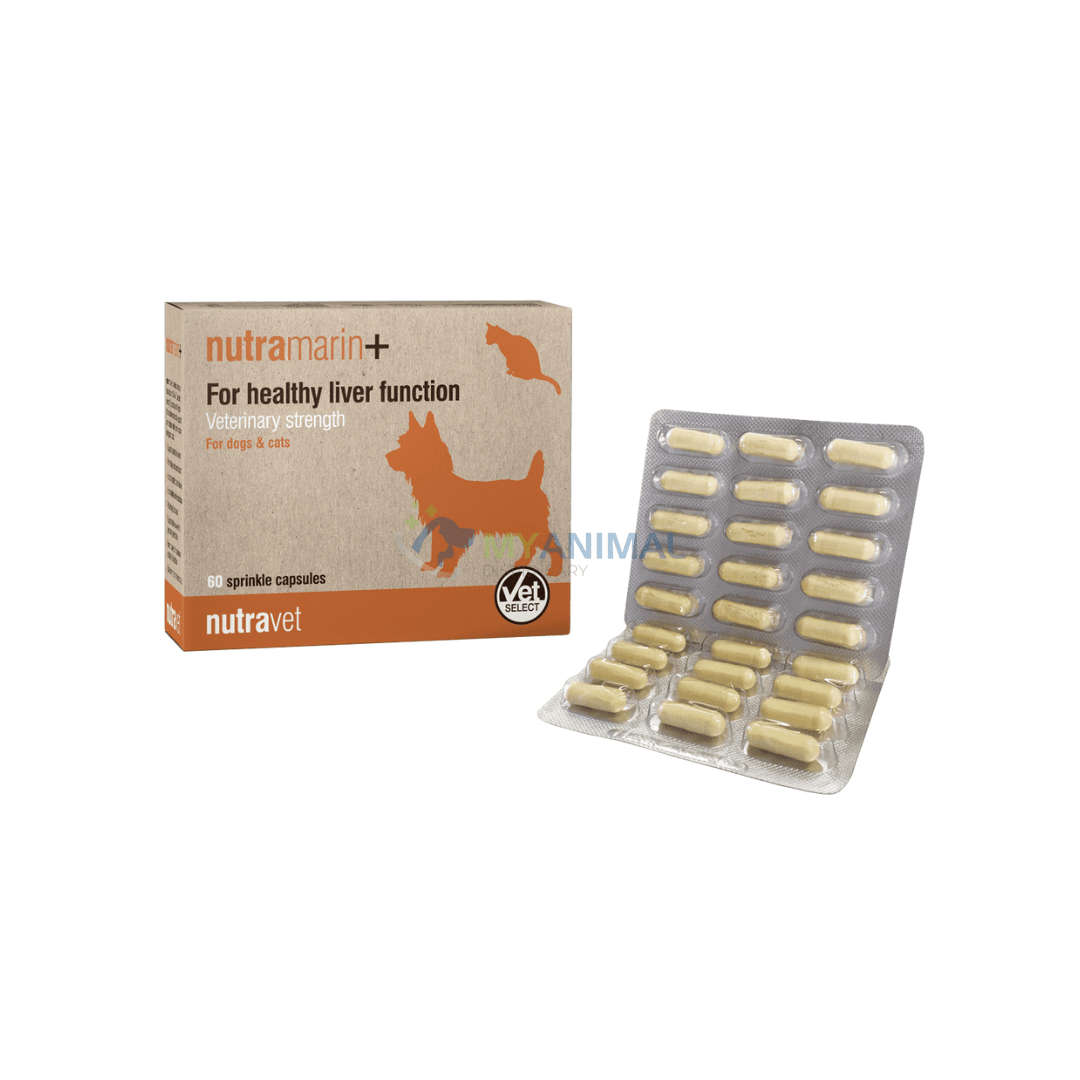 Nutravet Nutramarin+ Liver Supplement for Dogs, Cats & Small Animals ...