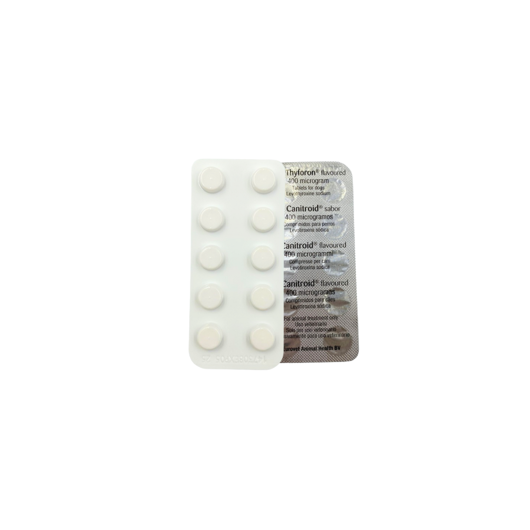 Dechra Thyforon® Tablets for Dogs (400mcg)