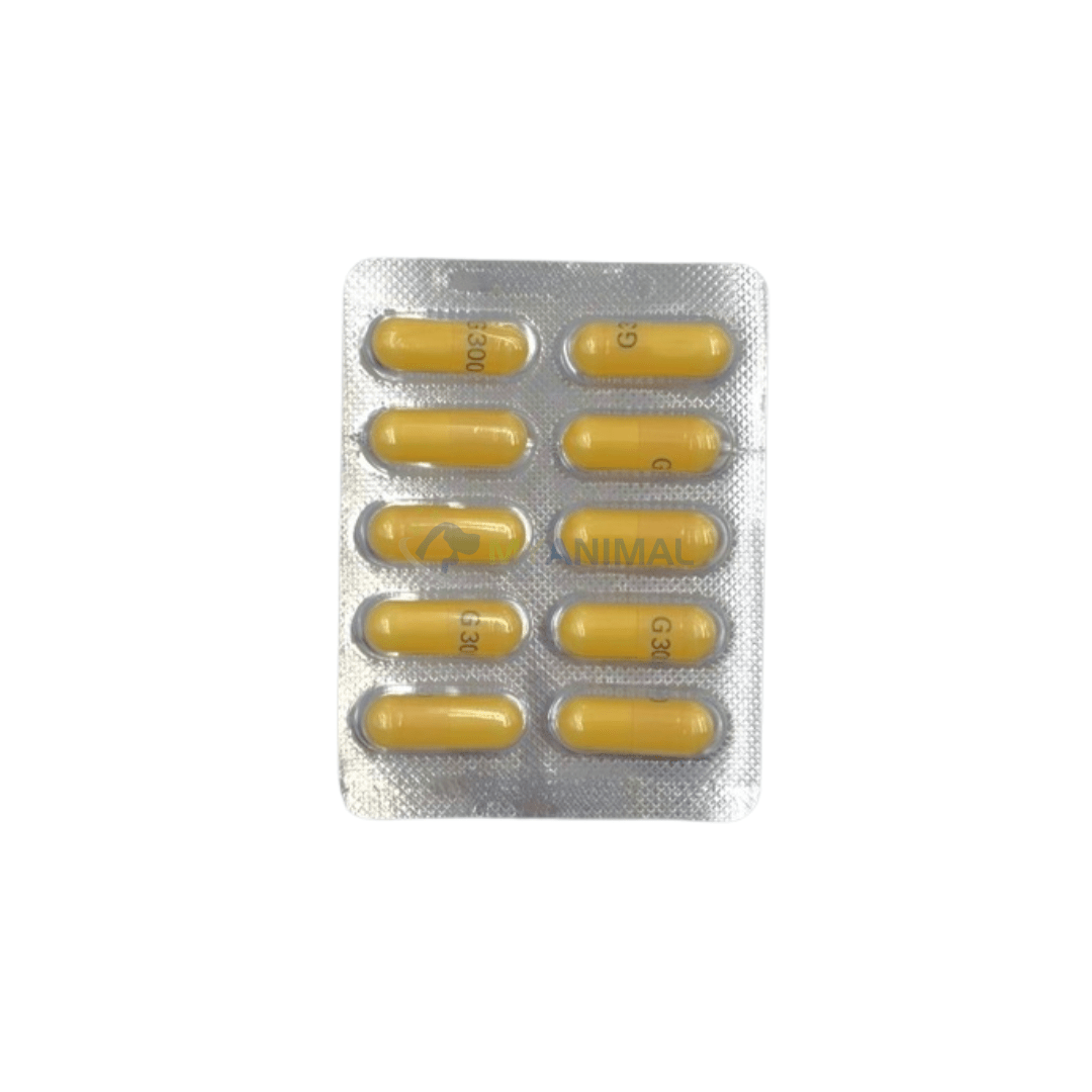 APX Gabapentin 300mg Capsules