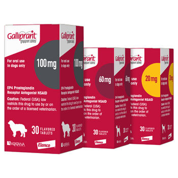 Elanco Galliprant Anti Inflammation Osteoarthritis Pain Relief Tablets for Dogs (60mg)