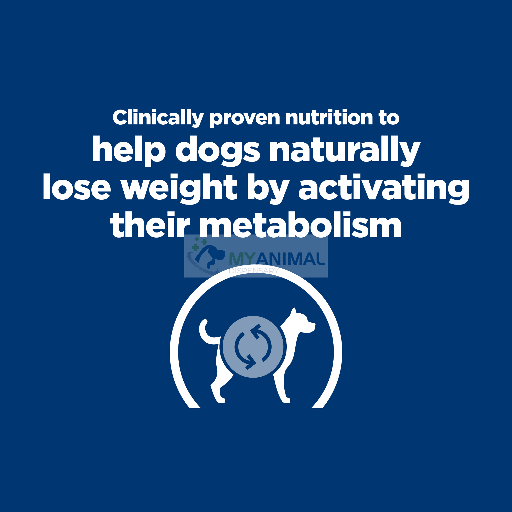 Metabolic dog hot sale