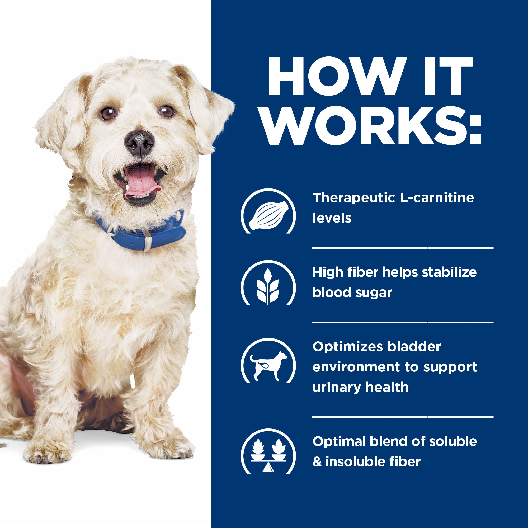 Hill's® Prescription Diet® w/d® Canine Multi Benefit Weight GI & Glucose Management