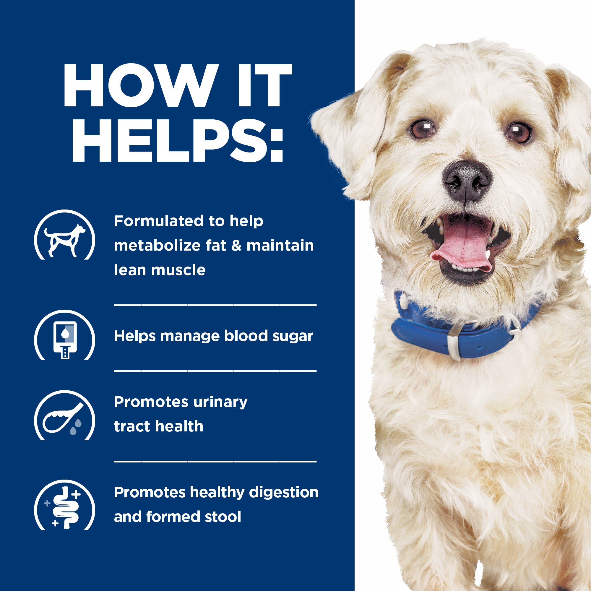 Hill's® Prescription Diet® w/d® Canine Multi Benefit Weight GI & Glucose Management Canned