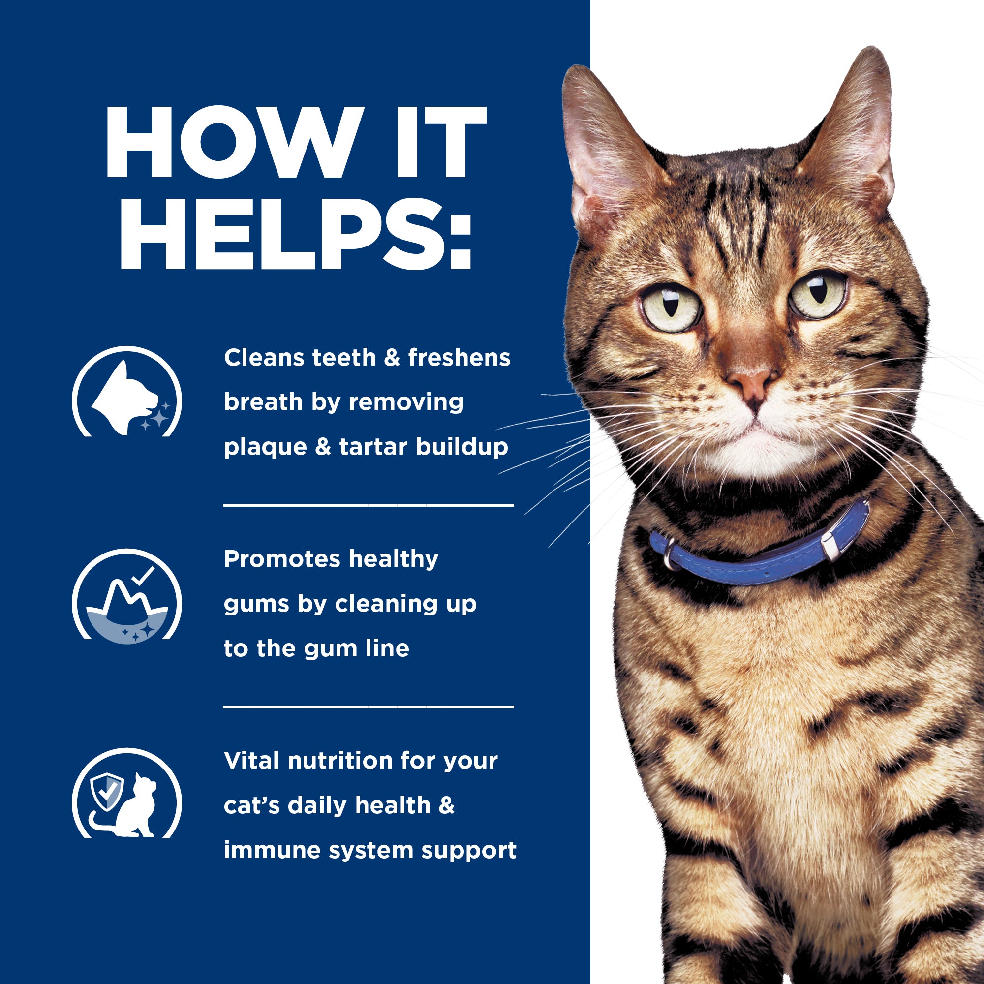 Hill's® Prescription Diet® t/d® Dental Health Feline Dry Cat Food