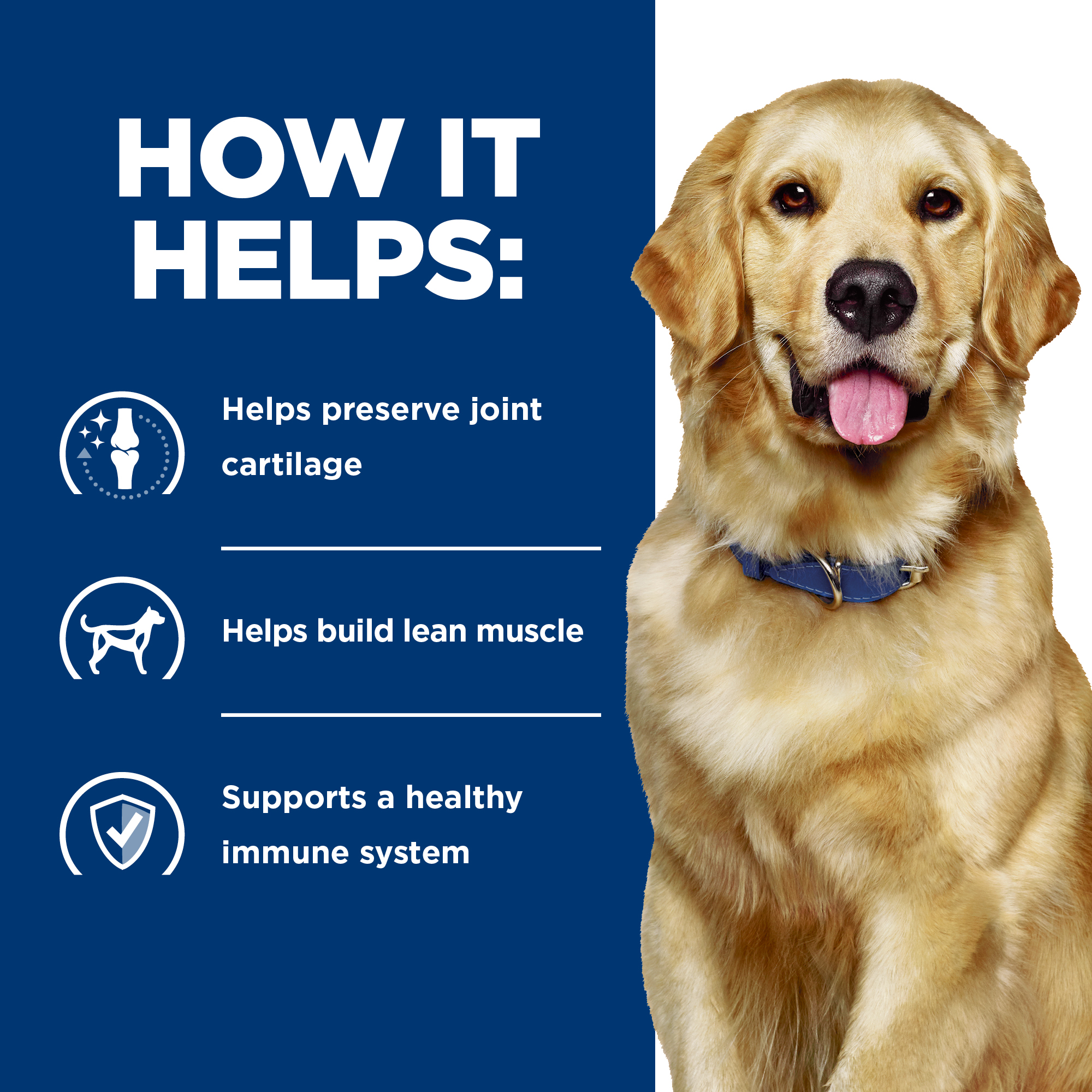 Hill's® Prescription Diet® j/d® Canine Joint Care