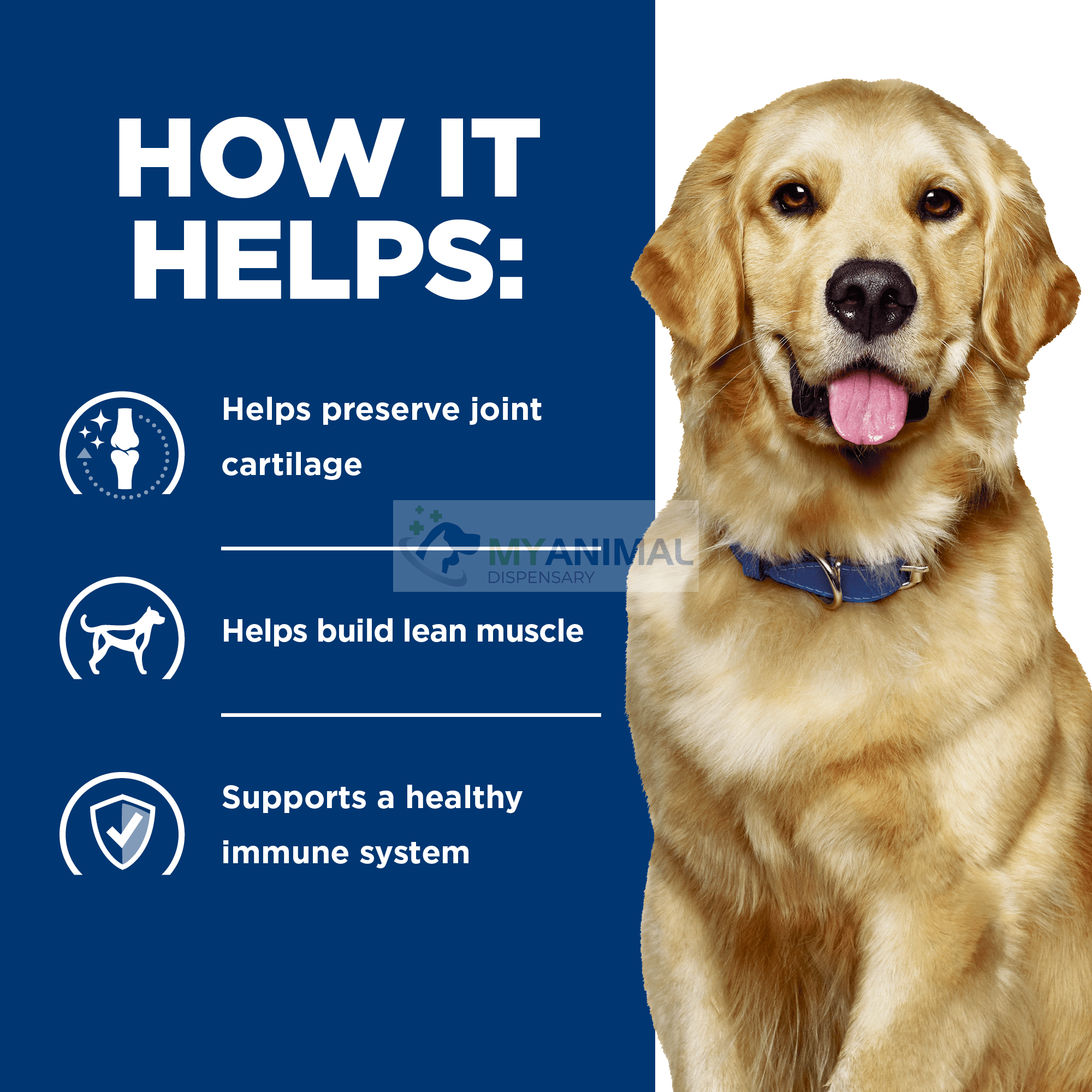 Science diet joint shop care