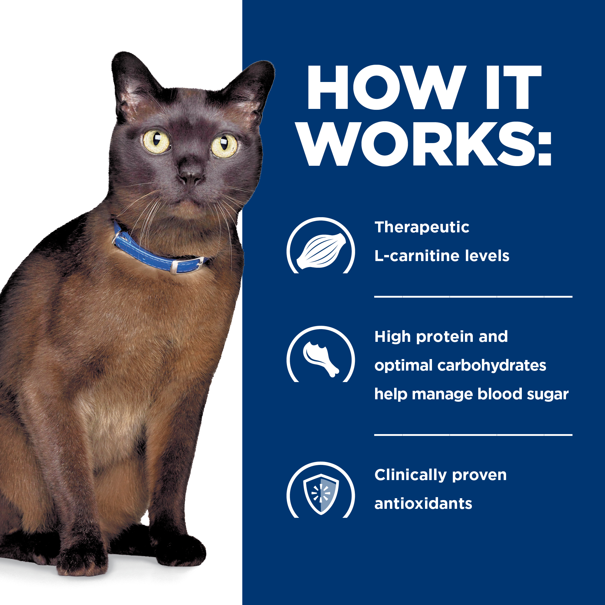 Hill's® Prescription Diet® m/d® GlucoSupport Feline Dry Cat Food