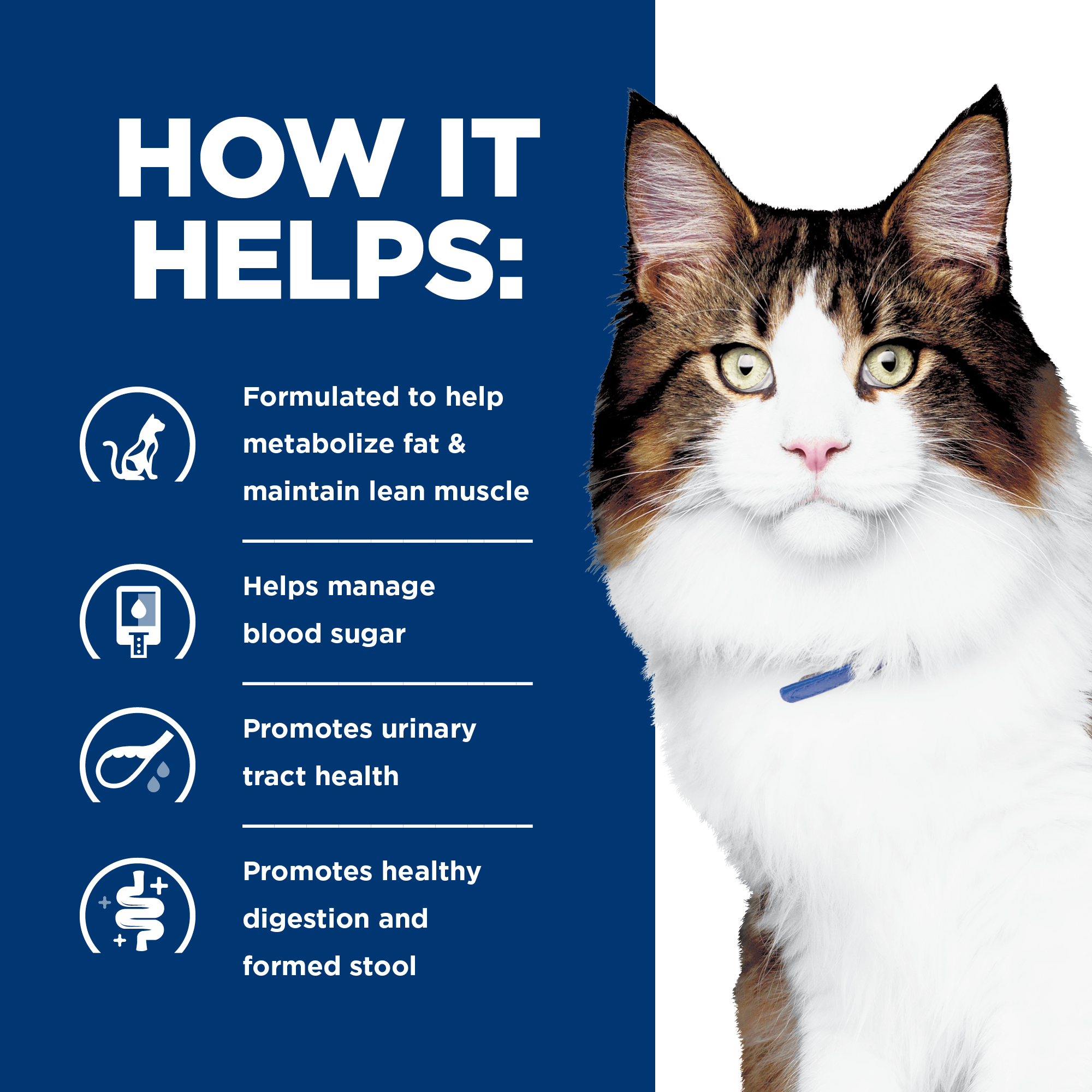 Hill's® Prescription Diet® w/d® Multi Benefit Weight GI Glucose Management Feline Canned